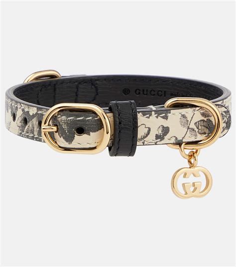 gucci pet xs